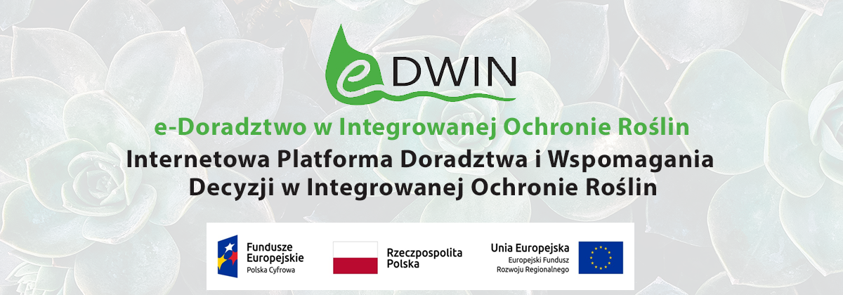 Baner Edwin