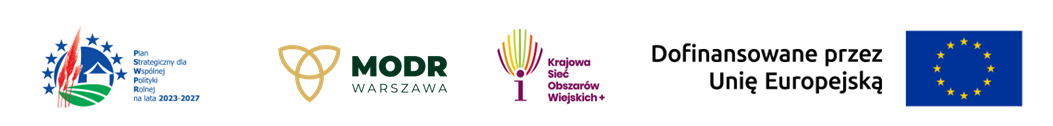 logotypy.jpeg