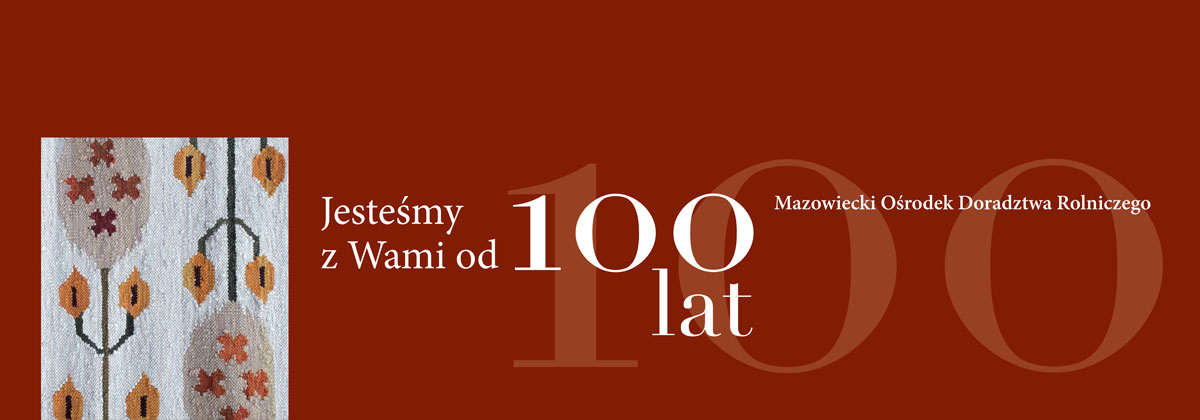 Baner z okazji 100 lecia