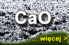 wapnowanie