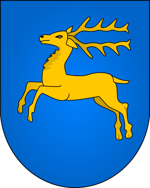 POL_Kozienice_COA